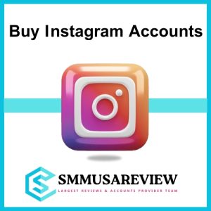Buy Instagram Accounts Bulk